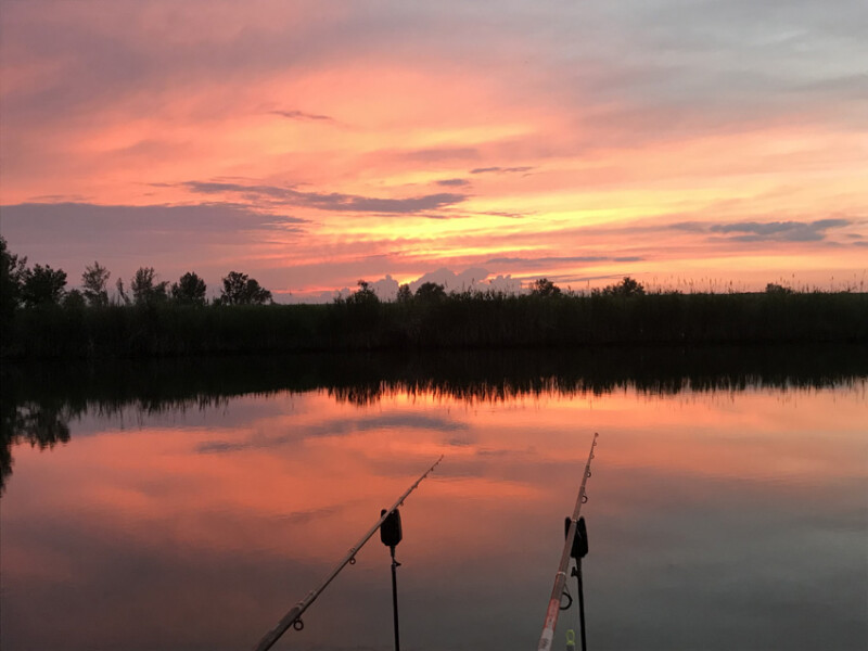 01 / Bai Szilárd / Félhalmi-holtág (3-as) / 2019. 05. 31.