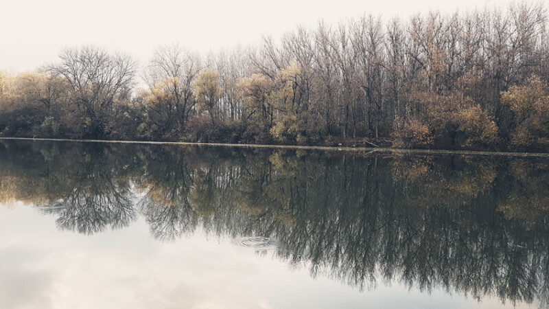 02 / Takács Balázs / Hármas-Körös / 2019. 11. 09.