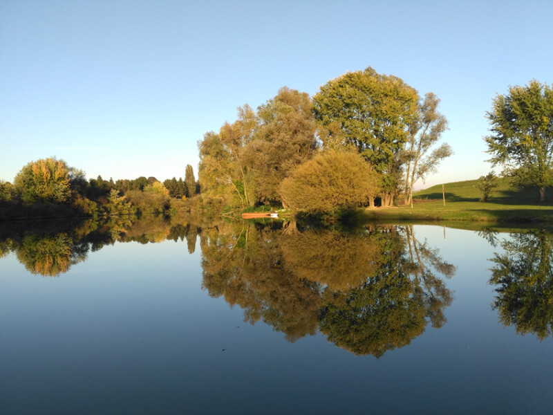 03 / Budai Tamás / Fekete-Körös / 2019. 10. 12.