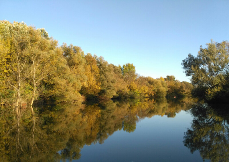 04 / Budai Tamás / Fekete-Körös / 2019. 10. 12.