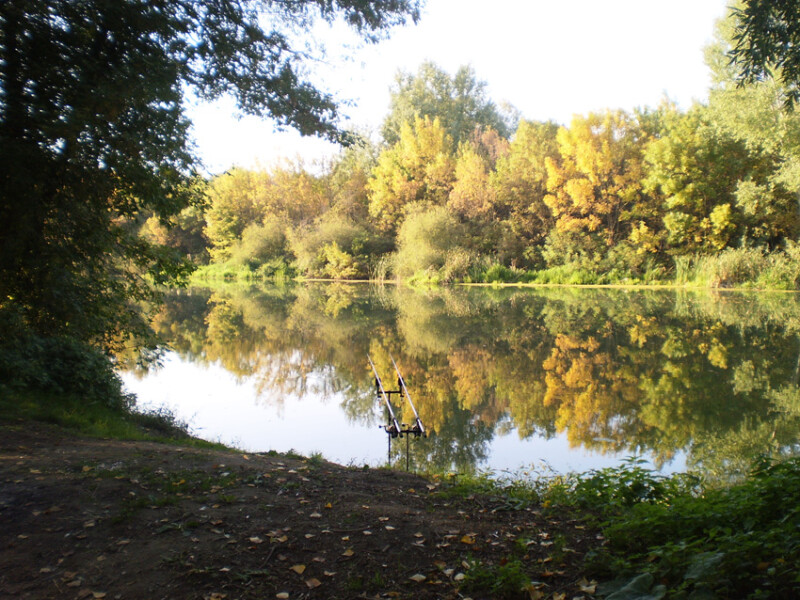 06 / Éles Pál / Sebes-Körös / 2017. 10. 03.