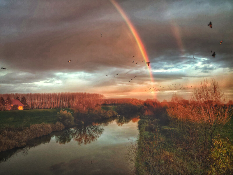 103 / Szabó Réka / Sebes-Körös / 2019. 11. 29.