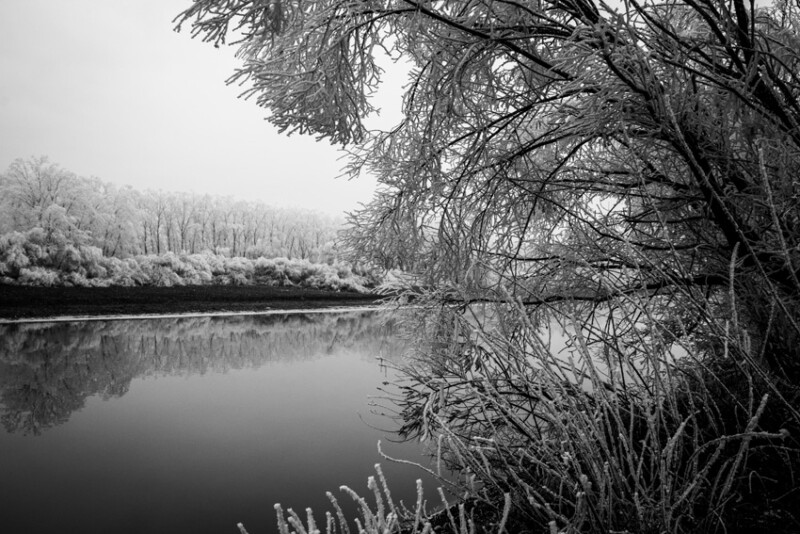 104 / Szabó Réka / Kettős-Körös / 2020. 01. 19.