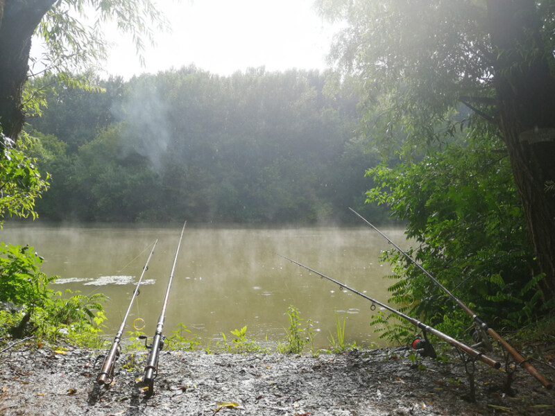 106 / Polgár Cintia / Hármas-Körös / 2019. 08. 03.