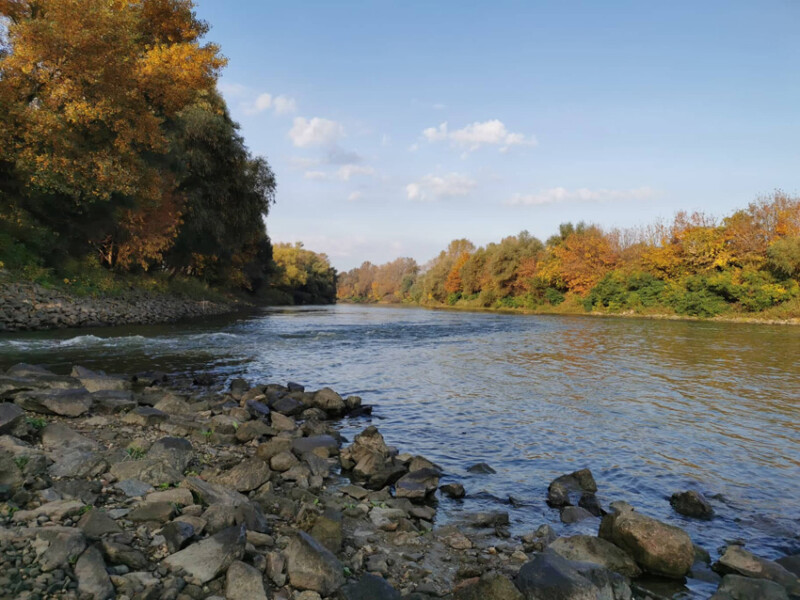 109 / Kovács Krisztián / Hármas-Körös / 2019. 10. 19.