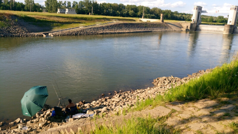 110 / Kovács Krisztián / Hármas-Körös / 2018. 06. 06.