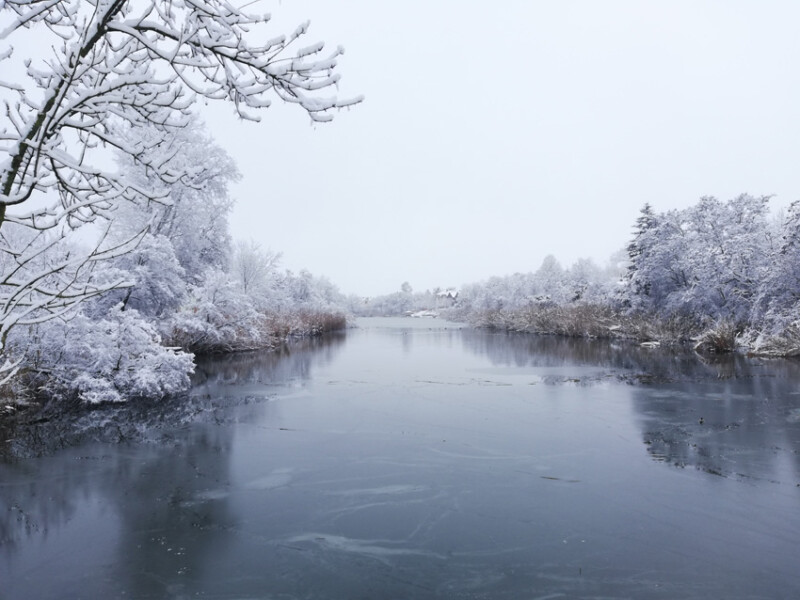 113 / Velő Nándor / Hantoskerti-holtág / 2020. 01. 18.