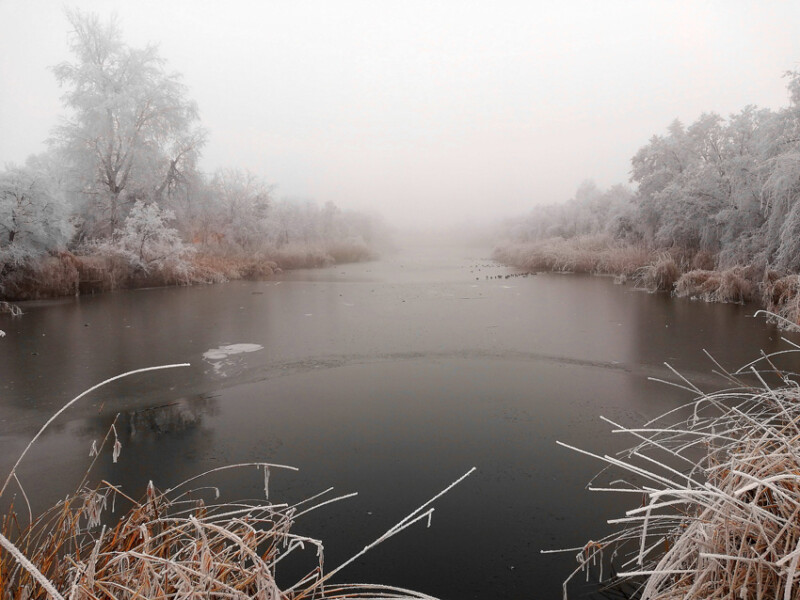 114 / Velő Nándor / Hantoskerti-holtág / 2018. 12. 16.