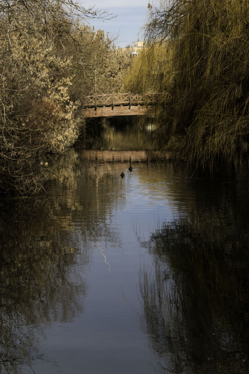 115 / Karácsonyi Roland / Élővíz-csatorna / 2019. 12. 22.