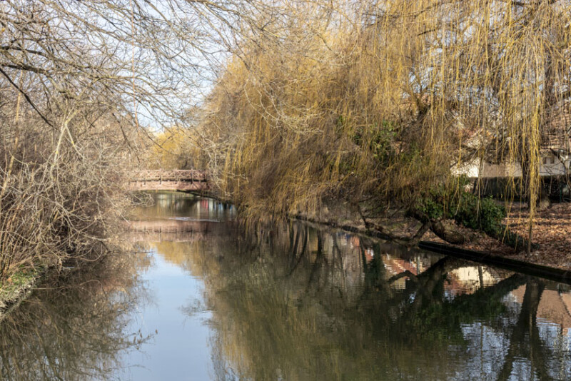 116 / Karácsonyi Roland / Élővíz-csatorna / 2019. 12. 22.