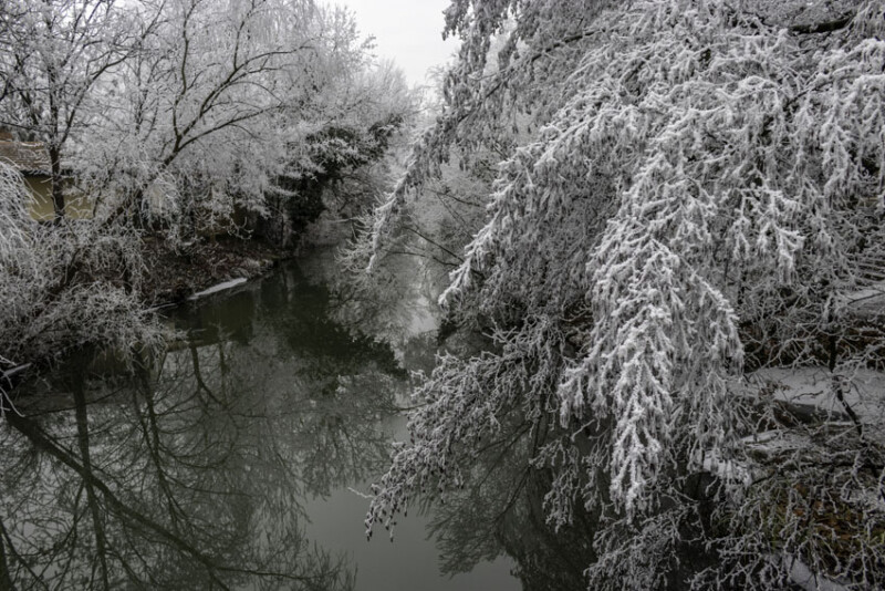 119 / Karácsonyi Roland / Élővíz-csatorna / 2020. 01. 29.