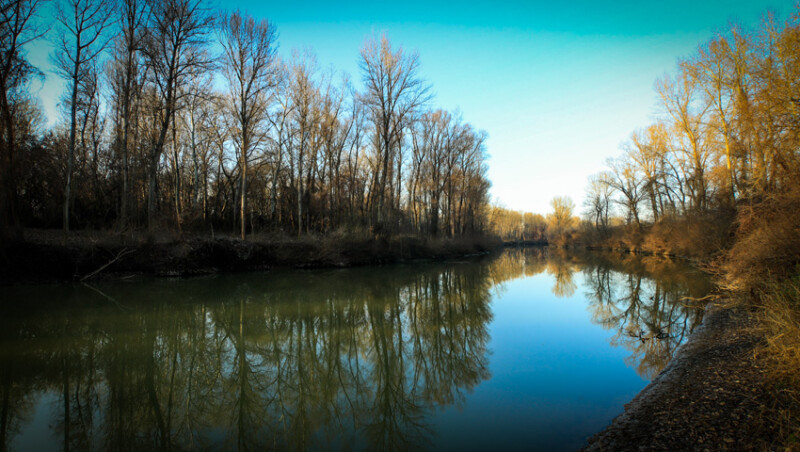 123 / ifj. Barna István / Kettős-Körös / 2019. 12. 29.