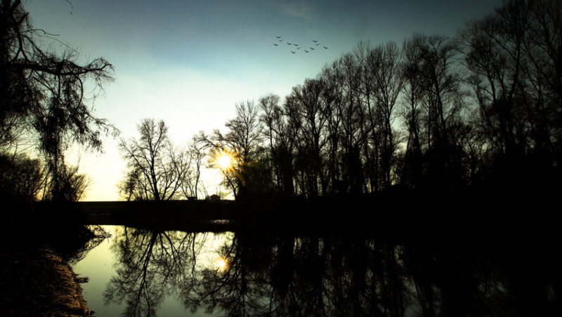 125 / ifj. Barna István / Kettős-Körös / 2019. 12. 30.