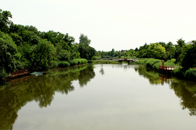 14 / Mészáros Tünde Rita / Hantoskerti-holtág / 2016. 06. 29.