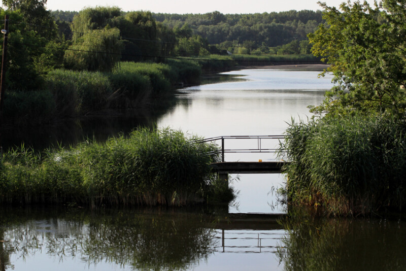 16 / Mészáros Tünde Rita / Hantoskerti-holtág / 2016. 06. 29.