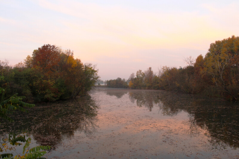 17 / Mészáros Tünde Rita / Kákafoki-holtág / 2017. 10. 21.
