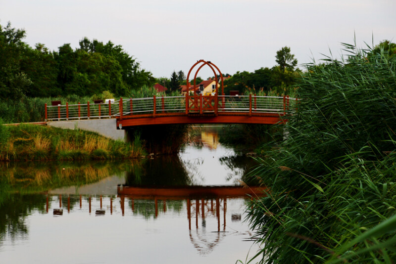 18 / Mészáros Tünde Rita / Hantoskerti-holtág / 2019. 07. 22.