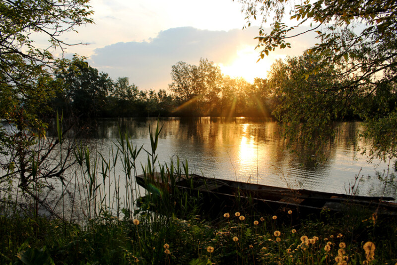 19 / Mészáros László / Békésszentandrási Sirató-holtág / 2016. 04. 17.