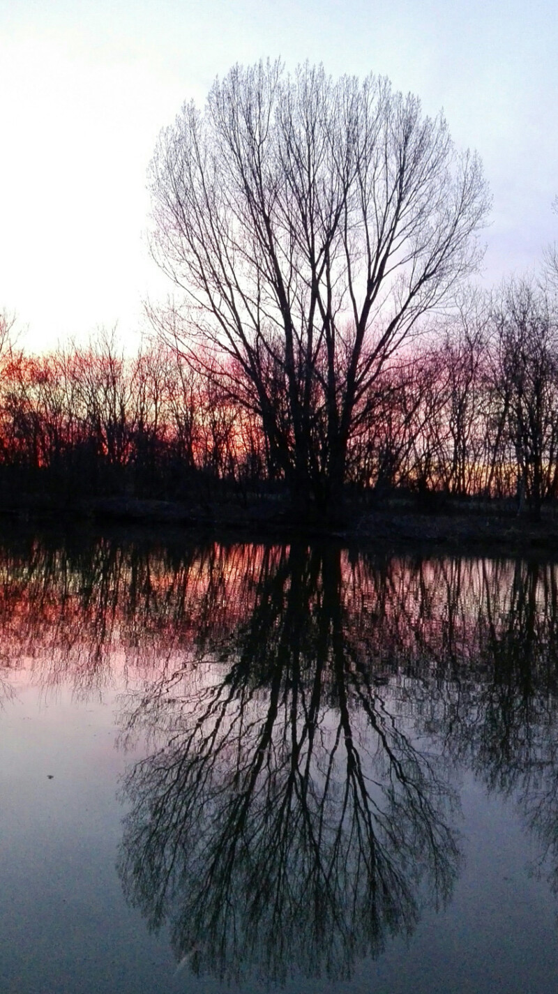 25 / Hornok Ádám / Kákafoki-holtág / 2019. 03. 09.