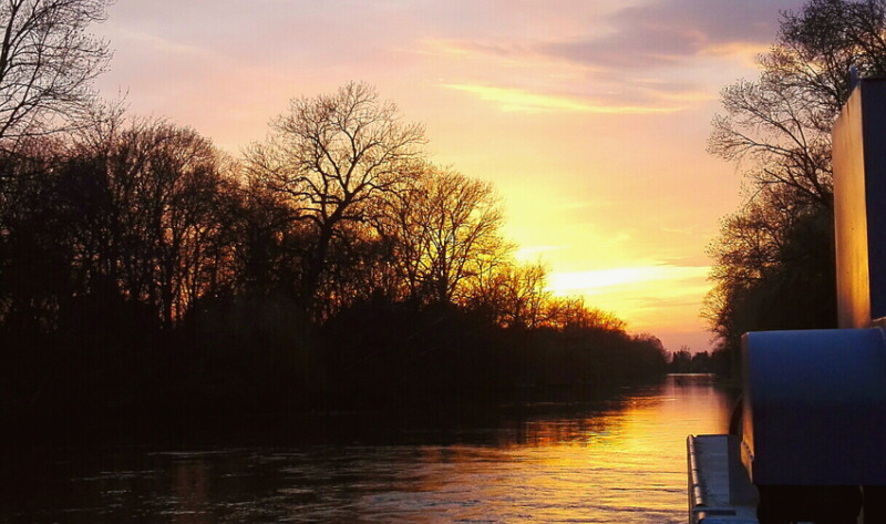 26 / Hornok Ádám / Kákafoki-holtág / 2019. 03. 07.