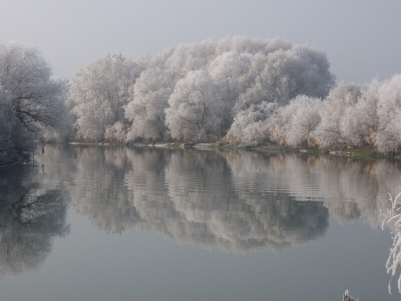 27 / Nagy János / Fekete-Körös / 2011. 11. 24.