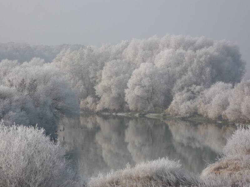 28 / Nagy János / Fekete-Körös / 2011. 11. 24.