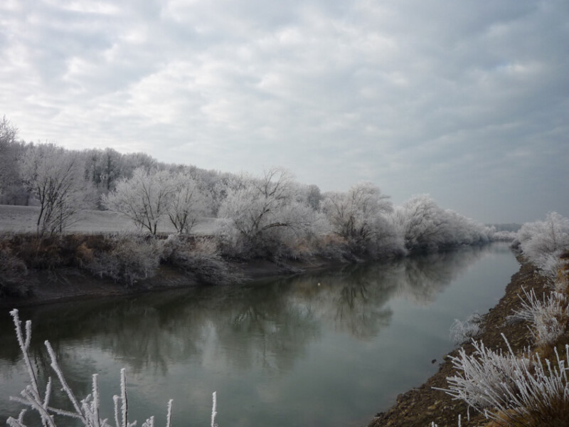 29 / Nagy János / Fekete-Körös / 2013. 01. 02.