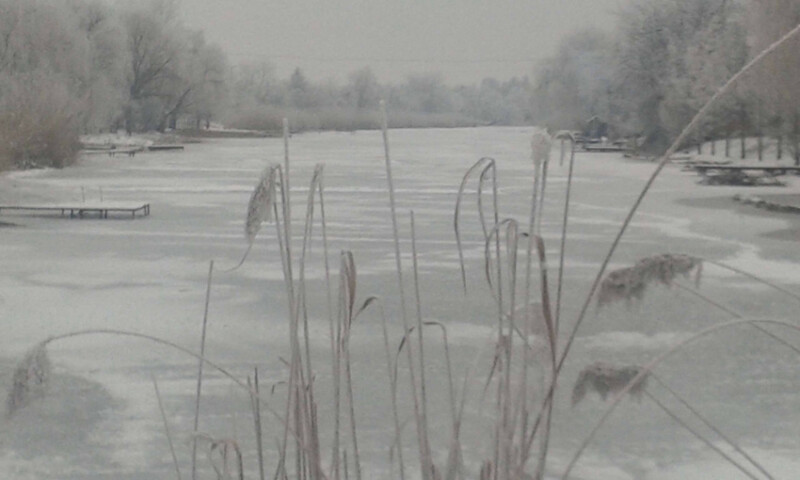 30 / Timár Fanni / Hantoskerti-holtág / 2019. 12. 26.