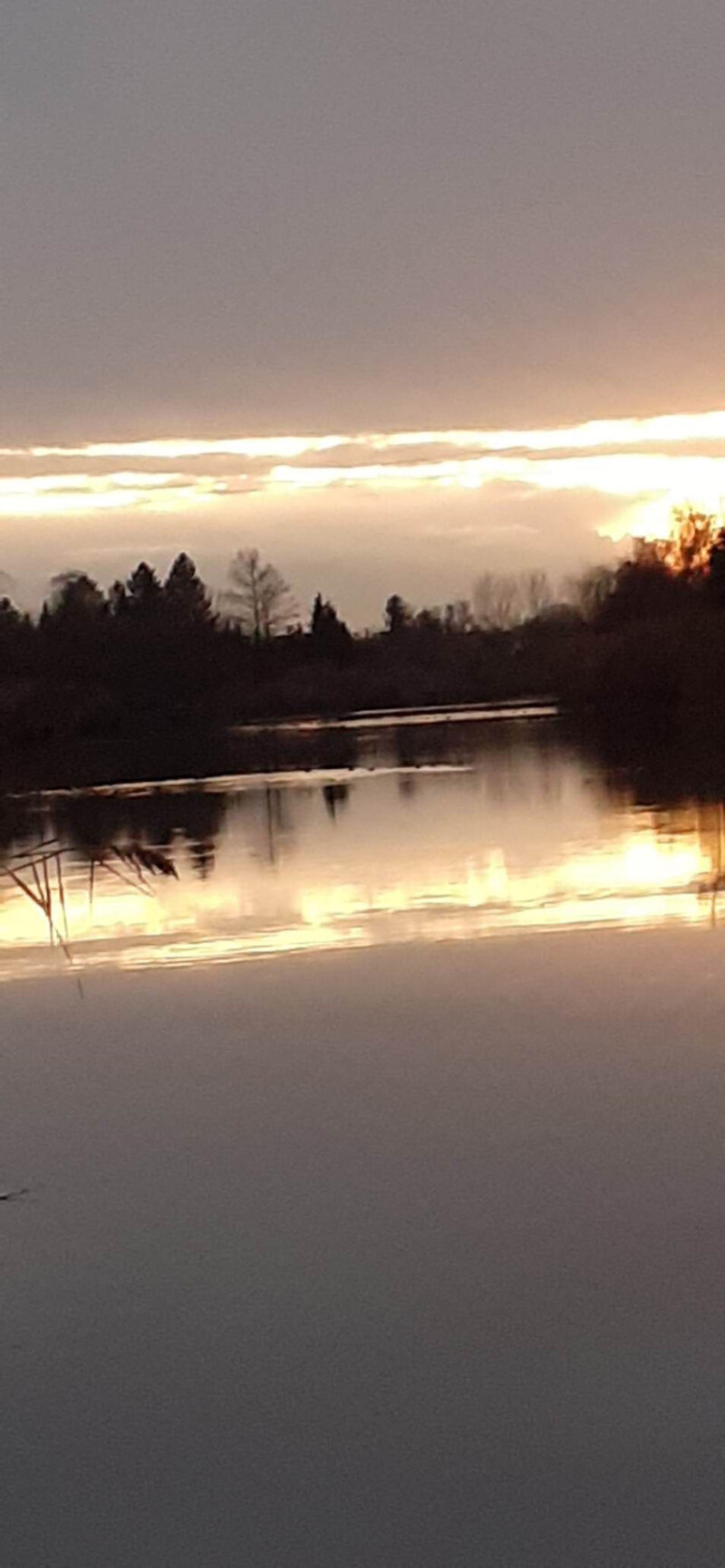 31 / Timár Fanni / Hantoskerti-holtág / 2019. 11. 24.