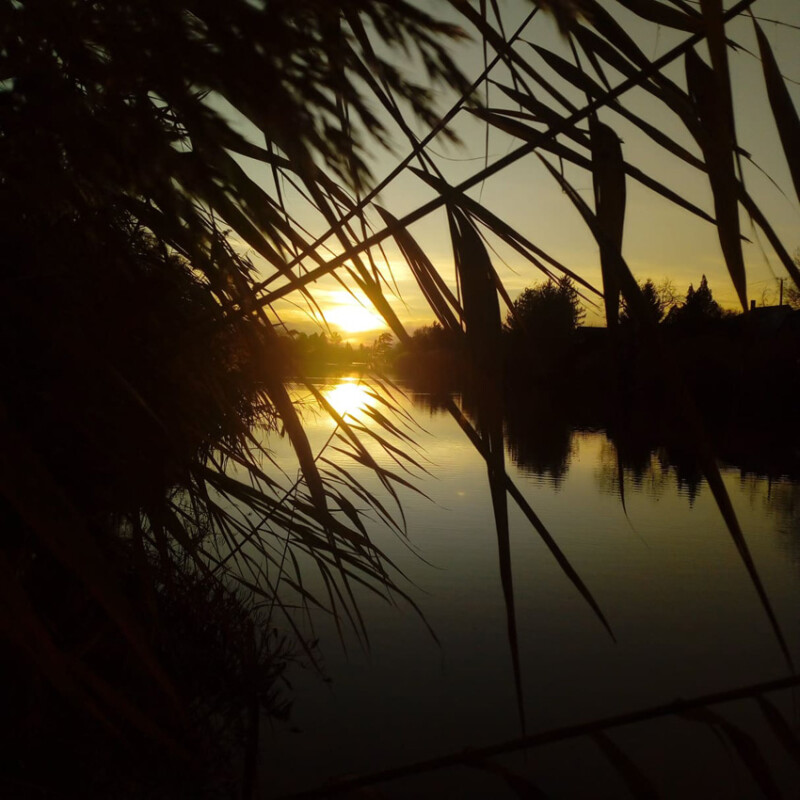 32 / Timár Fanni / Hantoskerti-holtág / 2018. 01. 16.