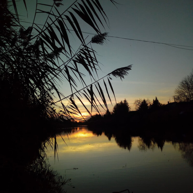 33 / Timár Fanni / Hantoskerti-holtág / 2019. 11. 26.