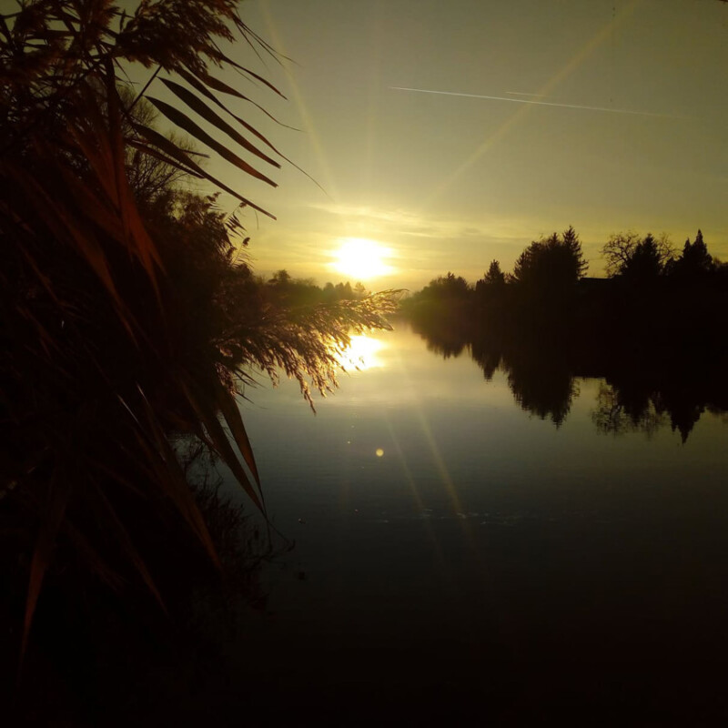 34 / Timár Fanni / Hantoskerti-holtág / 2019. 11. 26.