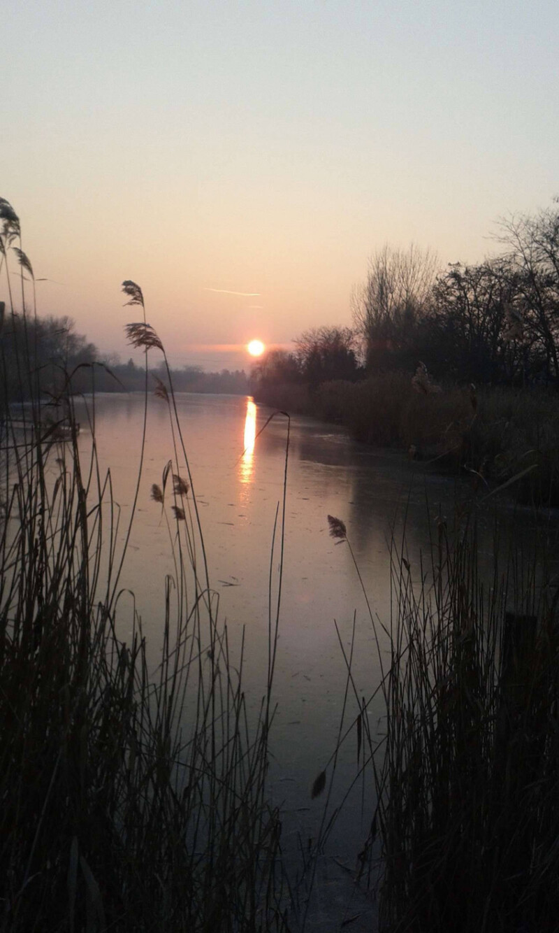 35 / Timár Attila / Hantoskerti-holtág / 2019. 12. 30.