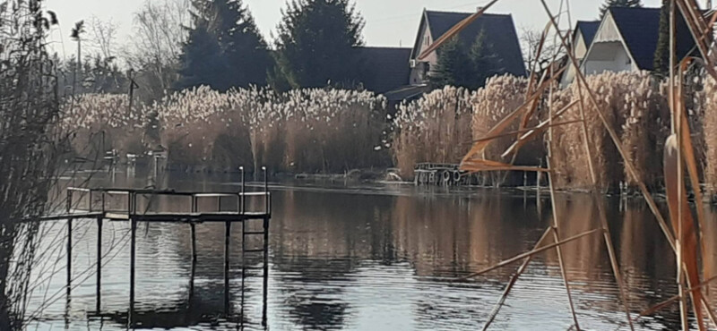 36 / Timár Attila / Hantoskerti-holtág / 2019. 12. 15.