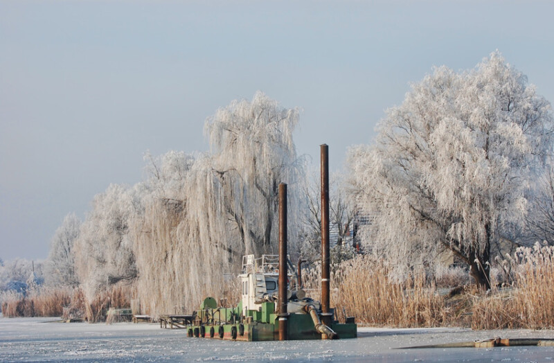 42 / Balog Lajos / Hantoskerti-holtág / 2010. 01. 15.