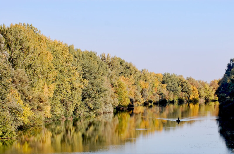 43 / Balog Lajos / Hármas-Körös / 2013. 10. 09.