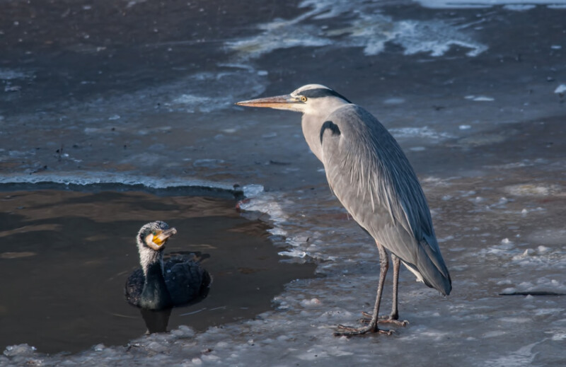 44 / Balog Lajos / Vajda-tó / 2014. 09. 30.