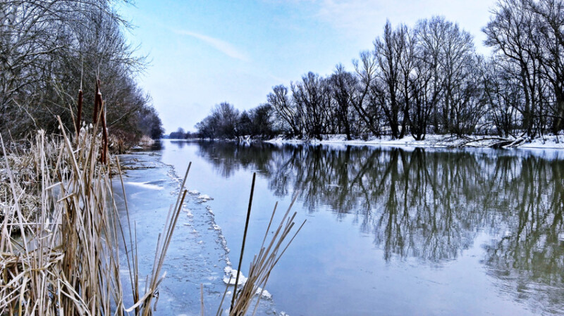 46 / Jónás Mihály / Sebes-Körös / 2018. 03. 01.