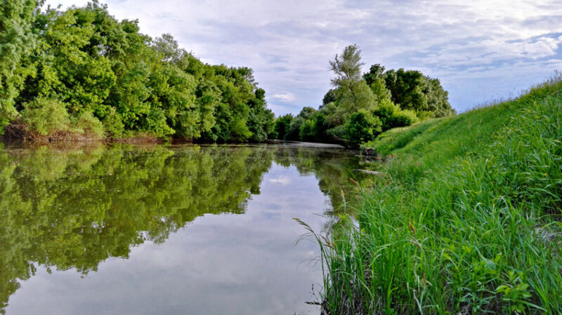 48 / Jónás Mihály / Sebes-Körös / 2018. 05. 10.