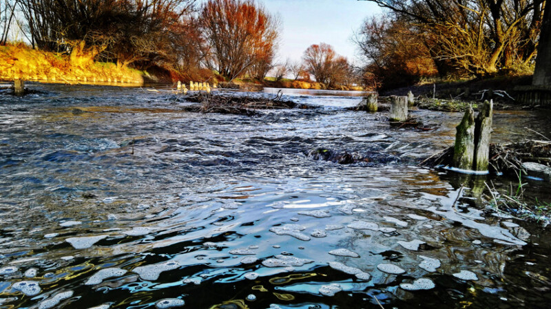 50 / Jónás Mihály / Sebes-Körös / 2019. 12. 20.