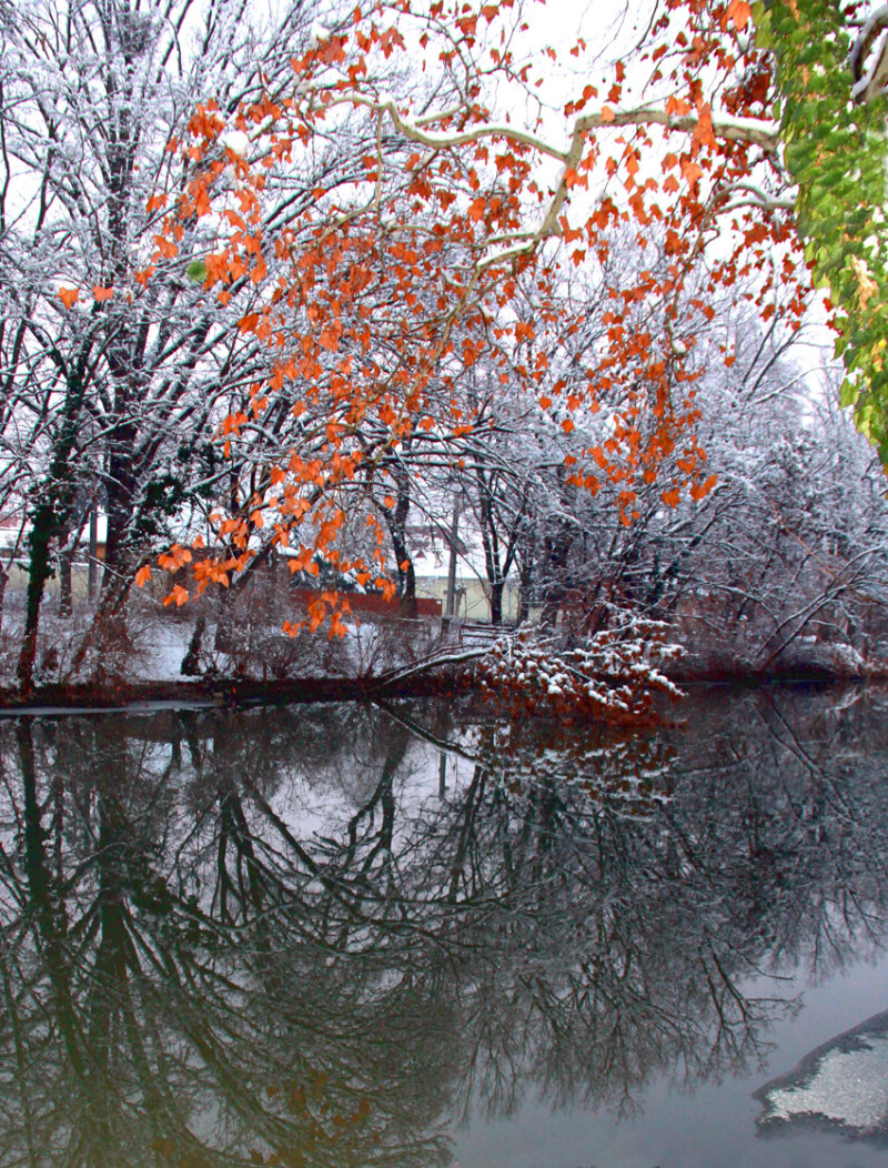 54 / dr. Blahut Károly / Élővíz-csatorna / 2018. 12. 18.