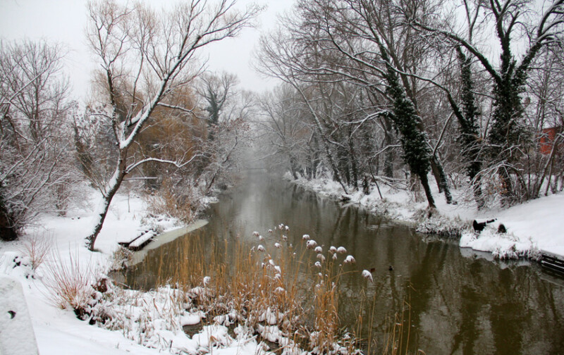55 / dr. Blahut Károly / Élővíz-csatorna / 2019. 01. 23.
