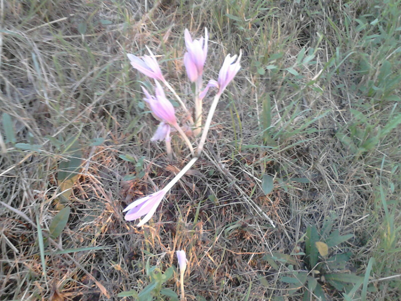 58 / Pádár Imre / Hortobágy-Berettyó / 2018. 09. 13.