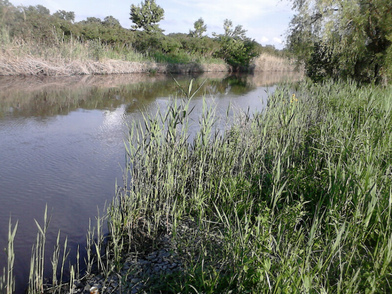 59 / Pádár Imre / Hortobágy-Berettyó / 2018. 05. 22.