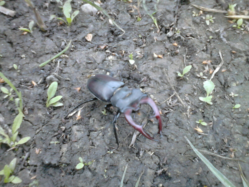 60 / Pádár Imre / Hortobágy-Berettyó / 2018. 05. 31.