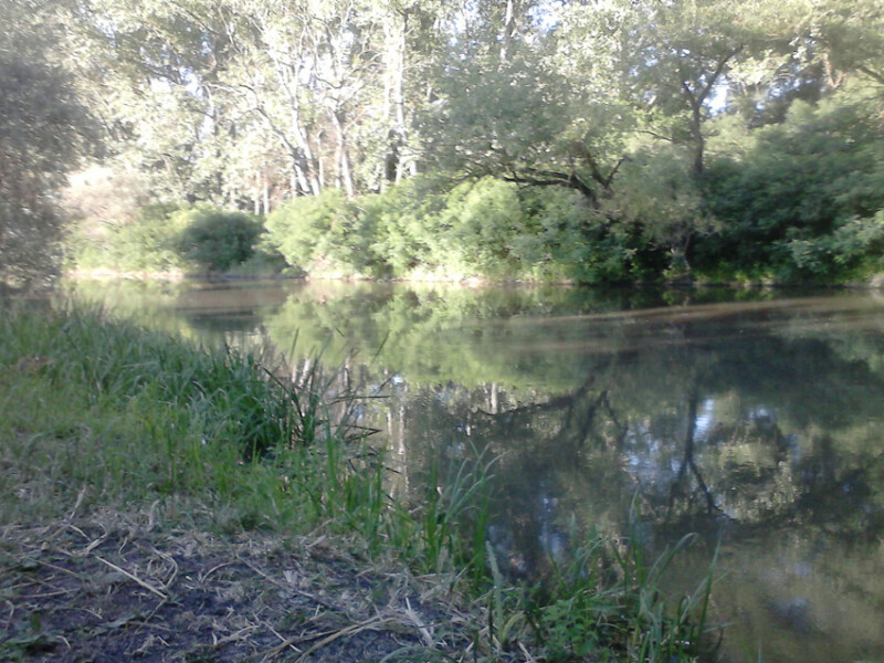 61 / Pádár Imre / Hortobágy-Berettyó / 2018. 07. 02.