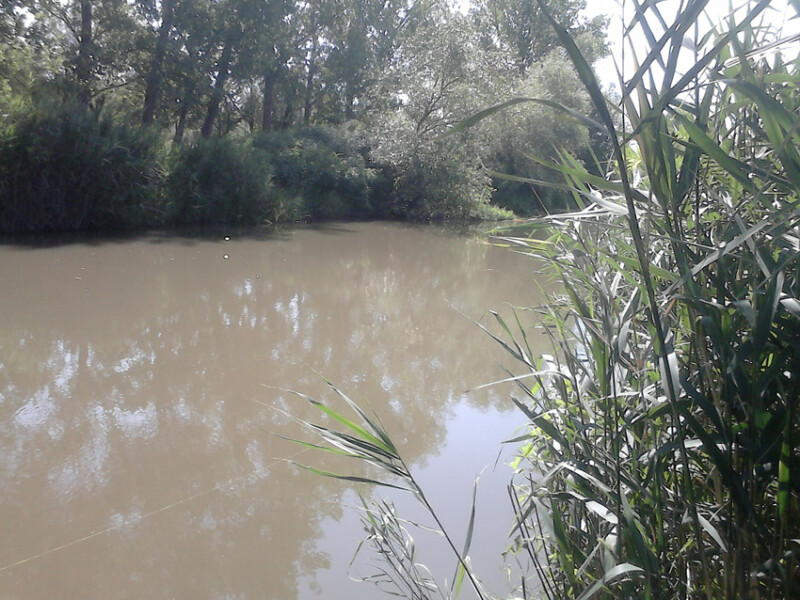 62 / Pádár Imre / Hortobágy-Berettyó / 2018. 08. 12.