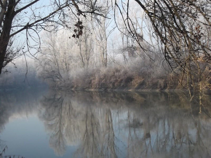 64 / Fodor László / Kettős-Körös / 2012. 12. 31.