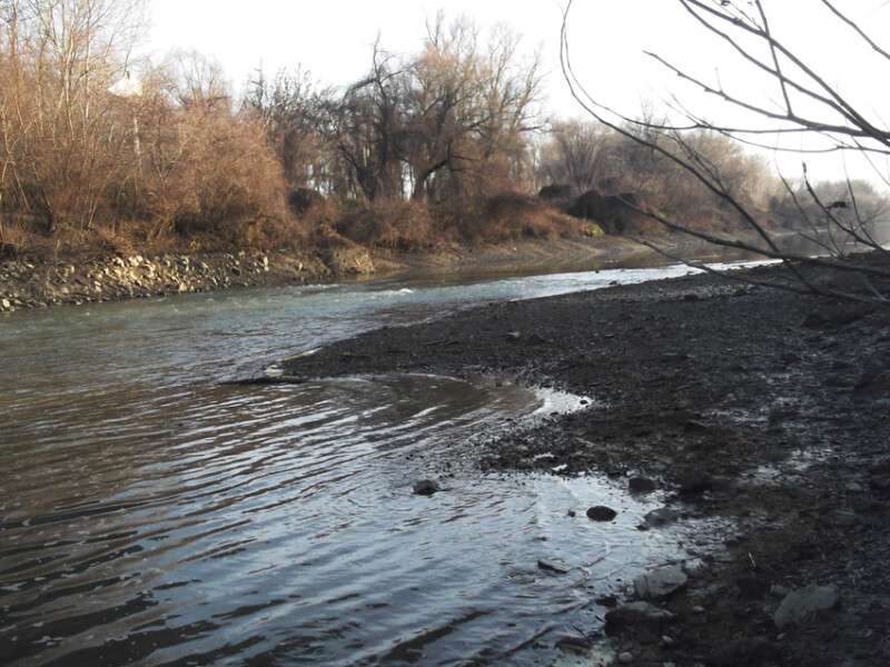 65 / Fodor László / Kettős-Körös / 2019. 12. 15.