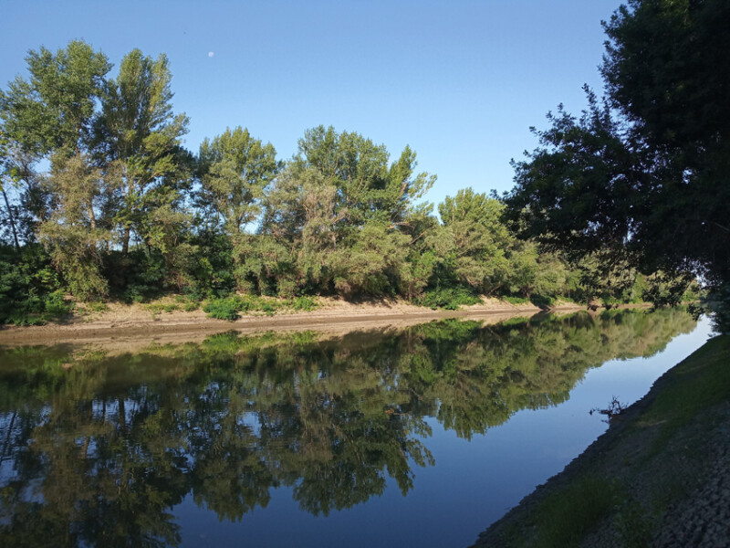 67 / Fodor László / Hármas-Körös / 2019. 08. 20.